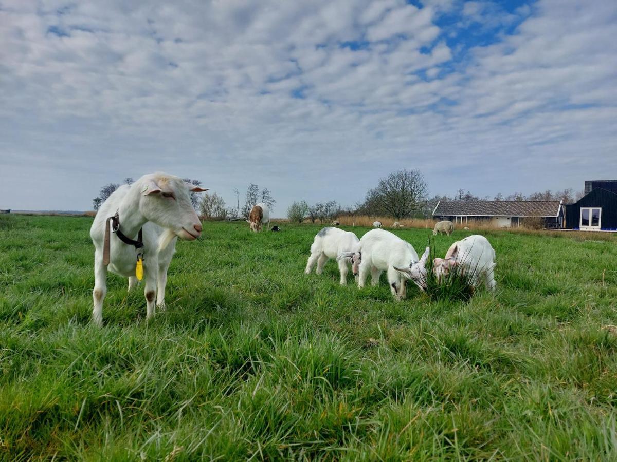 Amsterdam Countryside Met Airco ,Geweldig Uitzicht, Luxe Keuken,Wasmachine,Droger,Gratis Fietsen Apartment Den Ilp Exterior photo