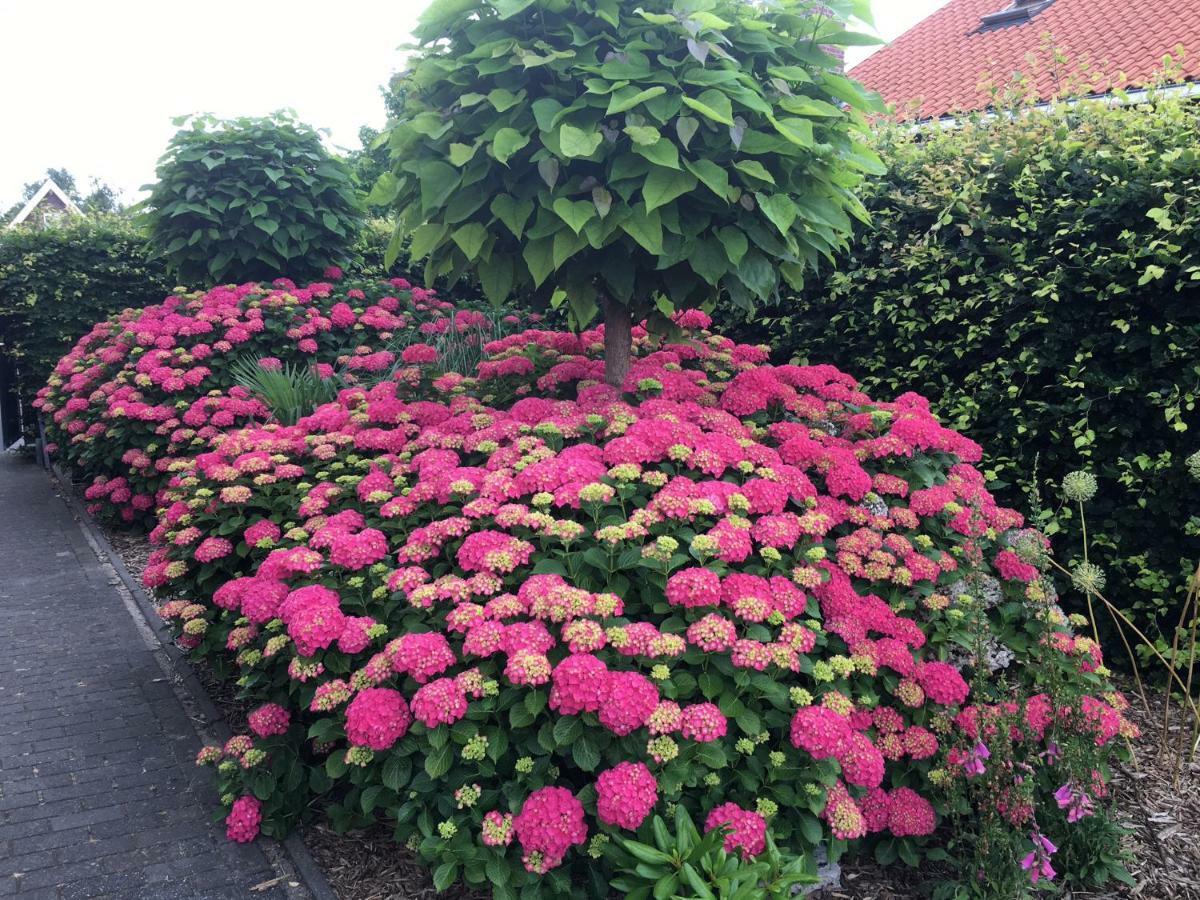 Amsterdam Countryside Met Airco ,Geweldig Uitzicht, Luxe Keuken,Wasmachine,Droger,Gratis Fietsen Apartment Den Ilp Exterior photo
